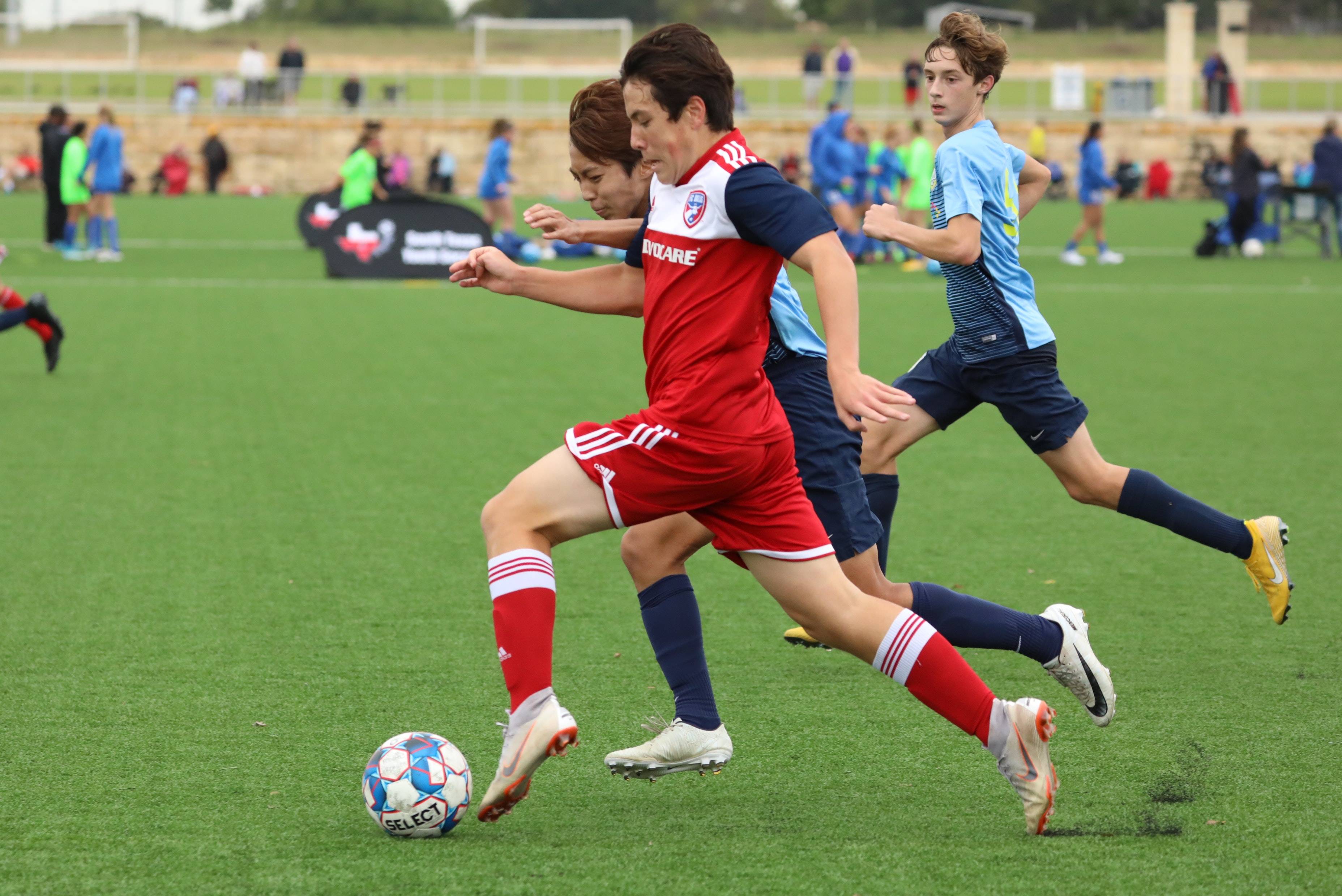 也让所有观 也让所有观