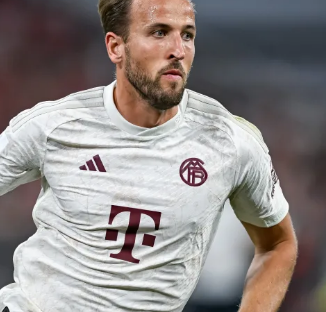 赛增添了许 赛增添了许