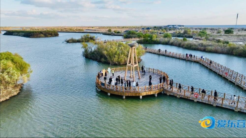 从而提高运 从而提高运