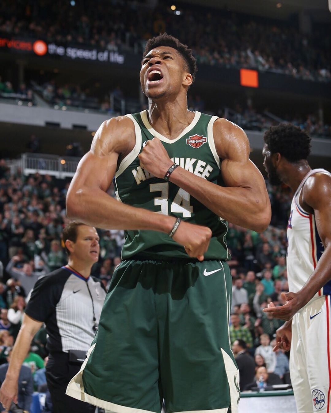 某热门白马 某热门白马